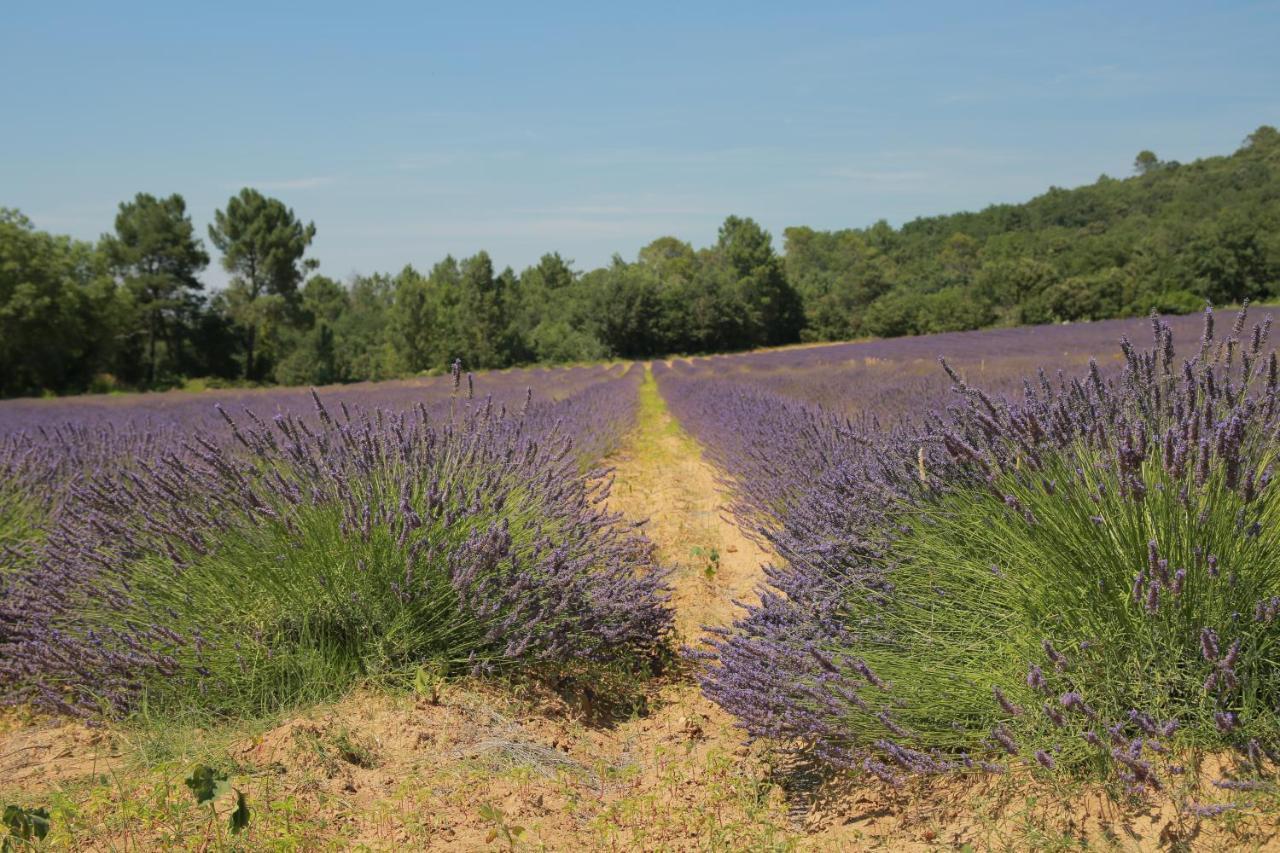 مبيت وإفطار Saint-Paulet-de-Caisson Les Yourtes De Provence المظهر الخارجي الصورة